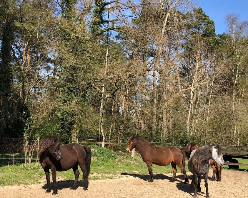 Herrlicher Frühling!